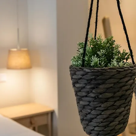 Oportments - Oliveiras