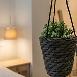 Oportments - Oliveiras