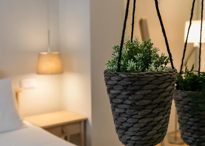 Oportments - Oliveiras